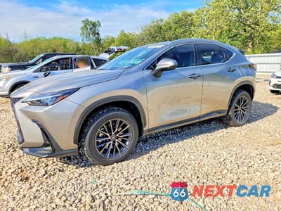 2022 LEXUS NX 350 2T2AGCEZ7NC009604 - główne zdjęcie licytacji z USA - miniatura