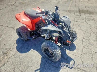 2022 CAN-AM DS 250 ATV RFGUB2513NS030000 - główne zdjęcie licytacji z USA - miniatura