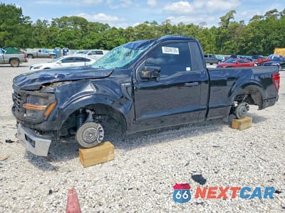 2025 FORD F150 XL 1FTMF1L59SKE64022 - główne zdjęcie licytacji z USA - miniatura