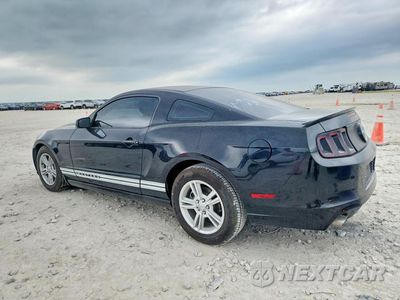 Drugie zdjęcie samochodu z przodu: 2013 FORD MUSTANG VIN:1ZVBP8AM8D5254856 - miniatura