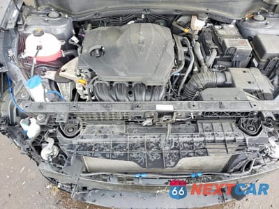 Zdjęcie 12 z 13 samochodu: 2024 KIA SPORTAGE EX VIN:5XYK3CDF3RG222622 - miniatura