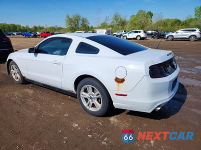 Drugie zdjęcie samochodu z przodu: 2014 FORD MUSTANG VIN:1ZVBP8AM7E5239220 - miniatura