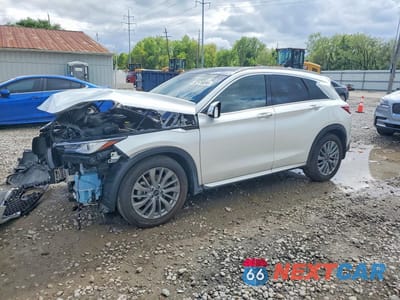 2023 INFINITI QX50 LUXE 3PCAJ5BB7PF110908 - główne zdjęcie licytacji z USA - miniatura