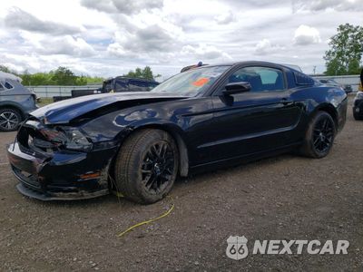 2014 FORD MUSTANG 1ZVBP8AM8E5325796 - główne zdjęcie licytacji z USA - miniatura