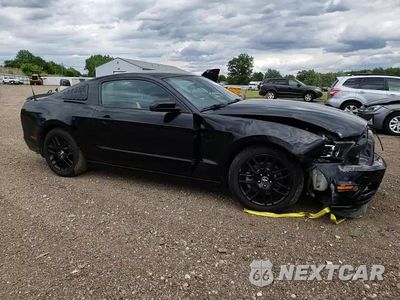 Zdjęcie 11 z 14 samochodu: 2014 FORD MUSTANG VIN:1ZVBP8AM8E5325796 - miniatura