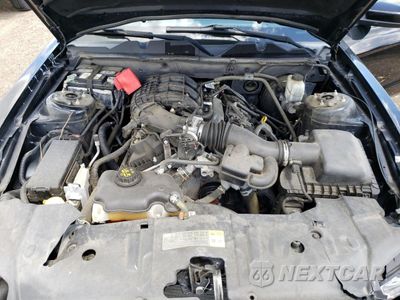 Zdjęcie 12 z 14 samochodu: 2014 FORD MUSTANG VIN:1ZVBP8AM8E5325796 - miniatura