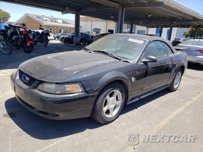 2004 FORD MUSTANG 1FAFP44484F122009 - główne zdjęcie licytacji z USA - miniatura
