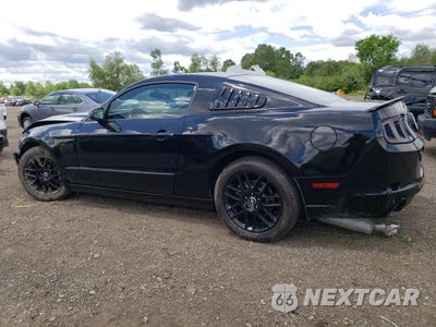 Drugie zdjęcie samochodu z przodu: 2014 FORD MUSTANG VIN:1ZVBP8AM8E5325796 - miniatura