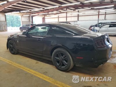 Drugie zdjęcie samochodu z przodu: 2013 FORD MUSTANG VIN:1ZVBP8AM4D5278524 - miniatura