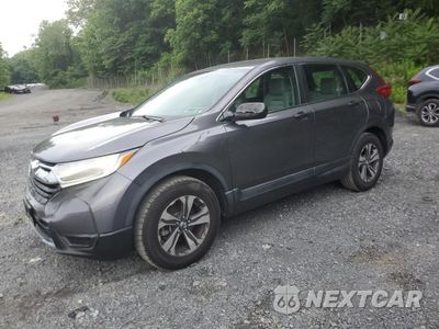 2017 HONDA CR-V LX 2HKRW6H37HH217194 - główne zdjęcie licytacji z USA - miniatura