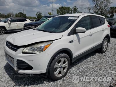 2016 FORD ESCAPE SE 1FMCU9GX6GUC67344 - główne zdjęcie licytacji z USA - miniatura