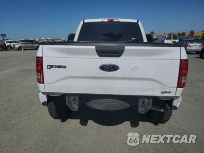 Zdjęcie 6 z 12 samochodu: 2015 FORD F150 VIN:1FTMF1C80FKE52244 - miniatura