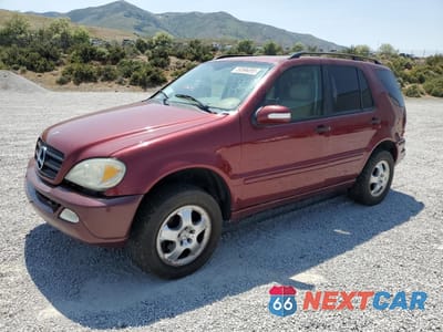 2002 MERCEDES-BENZ ML 320 4JGAB54E42A297266 - główne zdjęcie licytacji z USA - miniatura