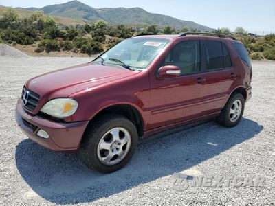 2002 MERCEDES-BENZ ML 320 4JGAB54E42A297266 - główne zdjęcie licytacji z USA - miniatura