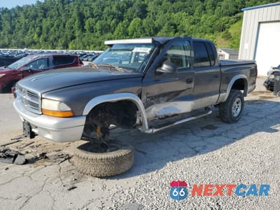 2003 DODGE DAKOTA QUAD SLT 1D7HG48NX3S239673 - główne zdjęcie licytacji z USA - miniatura