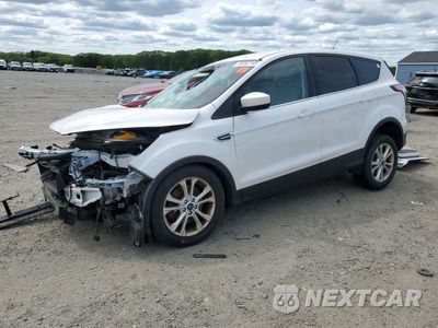 2017 FORD ESCAPE SE 1FMCU9G91HUB70796 - główne zdjęcie licytacji z USA - miniatura