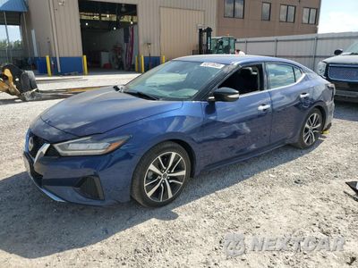 2023 NISSAN MAXIMA SV 1N4AA6CV1PC508715 - główne zdjęcie licytacji z USA - miniatura