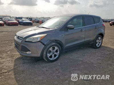 2014 FORD ESCAPE SE 1FMCU0GX0EUE11883 - główne zdjęcie licytacji z USA - miniatura