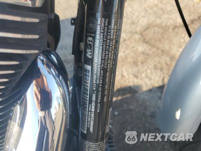 Zdjęcie 8 z 8 samochodu: 2015 HARLEY-DAVIDSON FXDL DYNA LOW RIDER VIN:1HD1GNM19FC306989 - miniatura