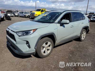 2019 TOYOTA RAV4 XLE JTMRWRFVXKD012312 - główne zdjęcie licytacji z USA - miniatura