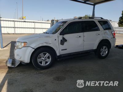 2008 FORD ESCAPE HEV 1FMCU49H98KA81660 - główne zdjęcie licytacji z USA - miniatura
