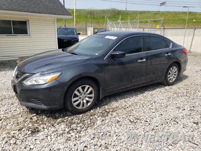 2016 NISSAN ALTIMA 2.5 1N4AL3AP1GC187501 - główne zdjęcie licytacji z USA - miniatura
