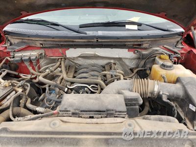 Zdjęcie 11 z 12 samochodu: 2014 FORD F150 SUPERCREW VIN:1FTFW1EF1EKD40331 - miniatura