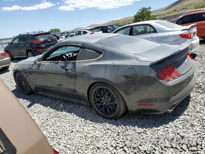 Drugie zdjęcie samochodu z przodu: 2017 FORD MUSTANG GT VIN:1FA6P8CF1H5344901 - miniatura