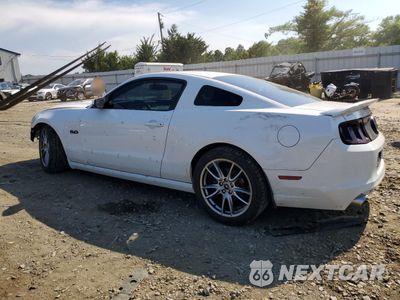Drugie zdjęcie samochodu z przodu: 2014 FORD MUSTANG GT VIN:1ZVBP8CF5E5271162 - miniatura