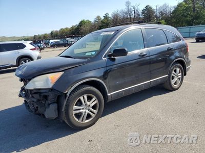 2010 HONDA CR-V EXL JHLRE4H7XAC008658 - główne zdjęcie licytacji z USA - miniatura