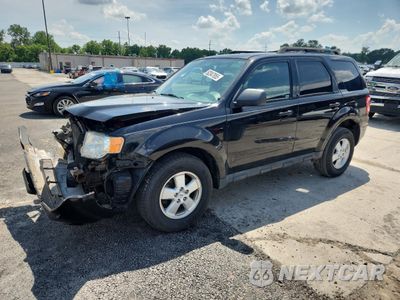 2009 FORD ESCAPE XLT 1FMCU03769KC67957 - główne zdjęcie licytacji z USA - miniatura