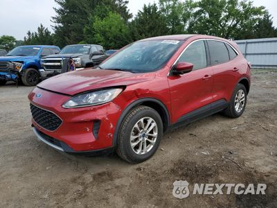 2020 FORD ESCAPE SE 1FMCU9G62LUA91197 - główne zdjęcie licytacji z USA - miniatura