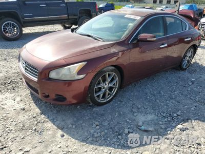 2010 NISSAN MAXIMA S 1N4AA5AP9AC858602 - główne zdjęcie licytacji z USA - miniatura