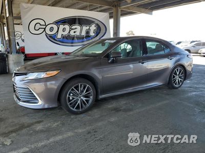 2023 TOYOTA CAMRY XLE 4T1F31AK6PU053808 - główne zdjęcie licytacji z USA - miniatura