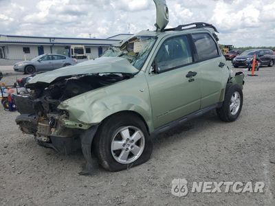 2008 FORD ESCAPE XLT 1FMCU031X8KD85293 - główne zdjęcie licytacji z USA - miniatura