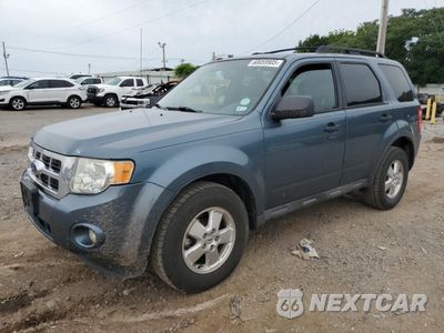 2011 FORD ESCAPE XLT 1FMCU0DG4BKB95998 - główne zdjęcie licytacji z USA - miniatura