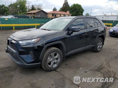 2024 TOYOTA RAV4 XLE 4T3RWRFV5RU128739 - główne zdjęcie licytacji z USA - miniatura