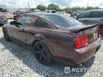 Drugie zdjęcie samochodu z przodu: 2009 FORD MUSTANG GT VIN:1ZVHT82H095109647 - miniatura