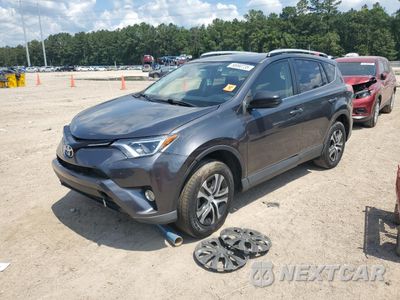 2016 TOYOTA RAV4 LE JTMZFREV2GJ072806 - główne zdjęcie licytacji z USA - miniatura