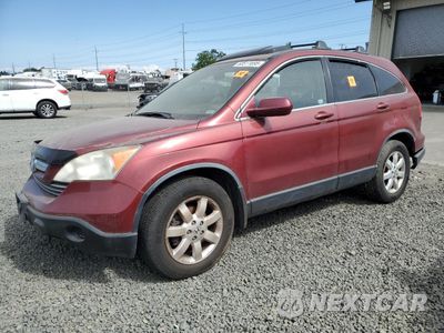 2007 HONDA CR-V EXL JHLRE48777C069572 - główne zdjęcie licytacji z USA - miniatura