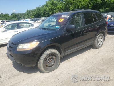 2009 HYUNDAI SANTA FE GLS 5NMSG13D79H254164 - główne zdjęcie licytacji z USA - miniatura