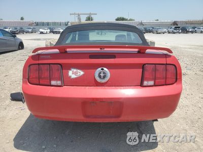Zdjęcie 6 z 13 samochodu: 2009 FORD MUSTANG VIN:1ZVHT84N495135171 - miniatura