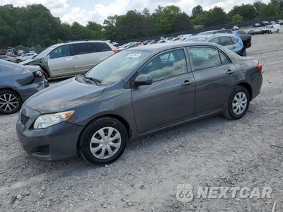 2010 TOYOTA COROLLA BASE 2T1BU4EE9AC508872 - główne zdjęcie licytacji z USA - miniatura