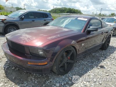2009 FORD MUSTANG GT 1ZVHT82H095109647 - główne zdjęcie licytacji z USA - miniatura