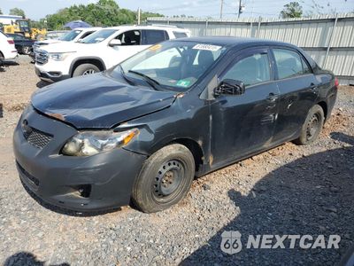 2010 TOYOTA COROLLA BASE 1NXBU4EE0AZ265600 - główne zdjęcie licytacji z USA - miniatura