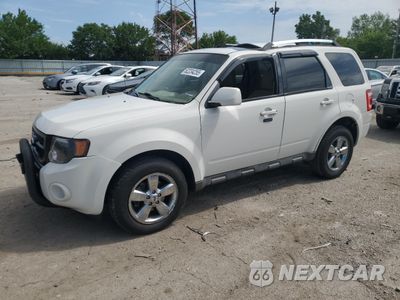 2009 FORD ESCAPE LIMITED 1FMCU94G59KC31342 - główne zdjęcie licytacji z USA - miniatura