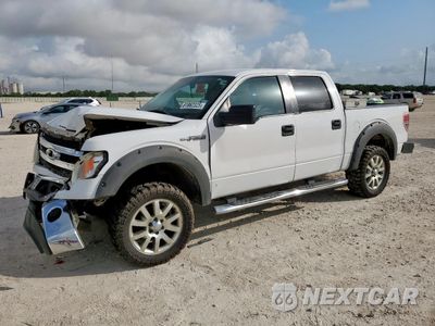 2013 FORD F150 SUPERCREW 1FTFW1CF8DFB46194 - główne zdjęcie licytacji z USA - miniatura