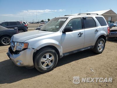 2011 FORD ESCAPE XLT 1FMCU9DG7BKB13783 - główne zdjęcie licytacji z USA - miniatura