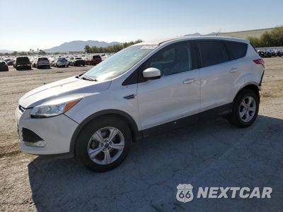 2014 FORD ESCAPE SE 1FMCU0GX5EUB64148 - główne zdjęcie licytacji z USA - miniatura