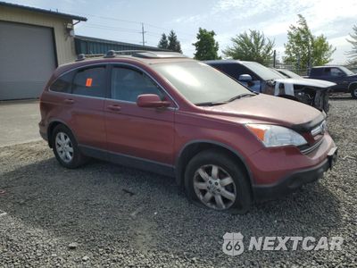 Czwarte zdjęcie samochodu z boku: 2007 HONDA CR-V EXL VIN:JHLRE48777C069572 - miniatura